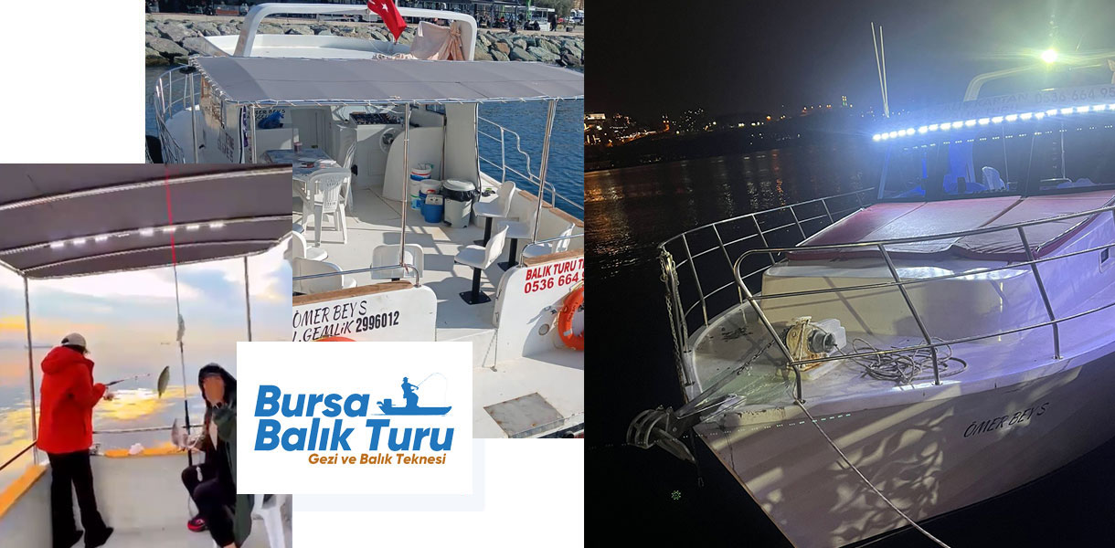 olta avi kiralik tekne