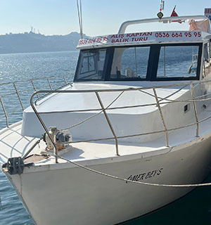 guvenli tekne turu